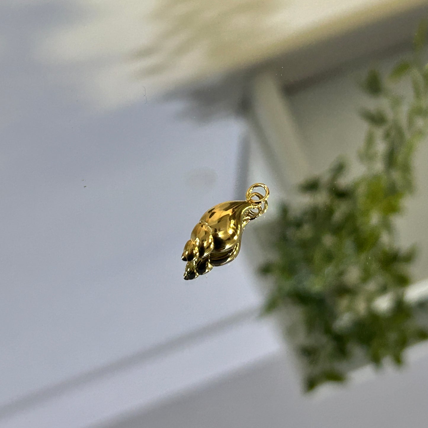 SHELL CHARM
