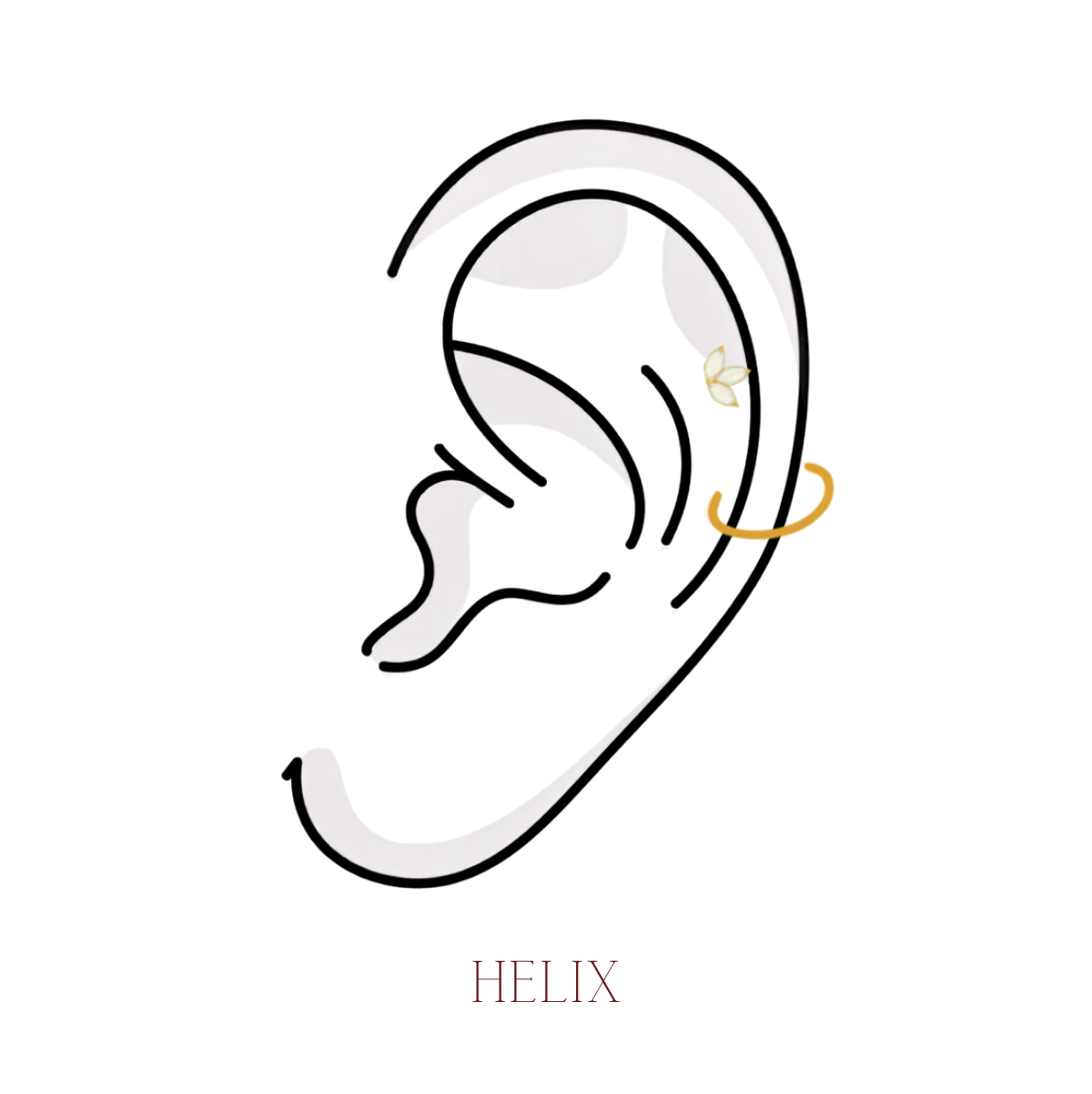 HELIX