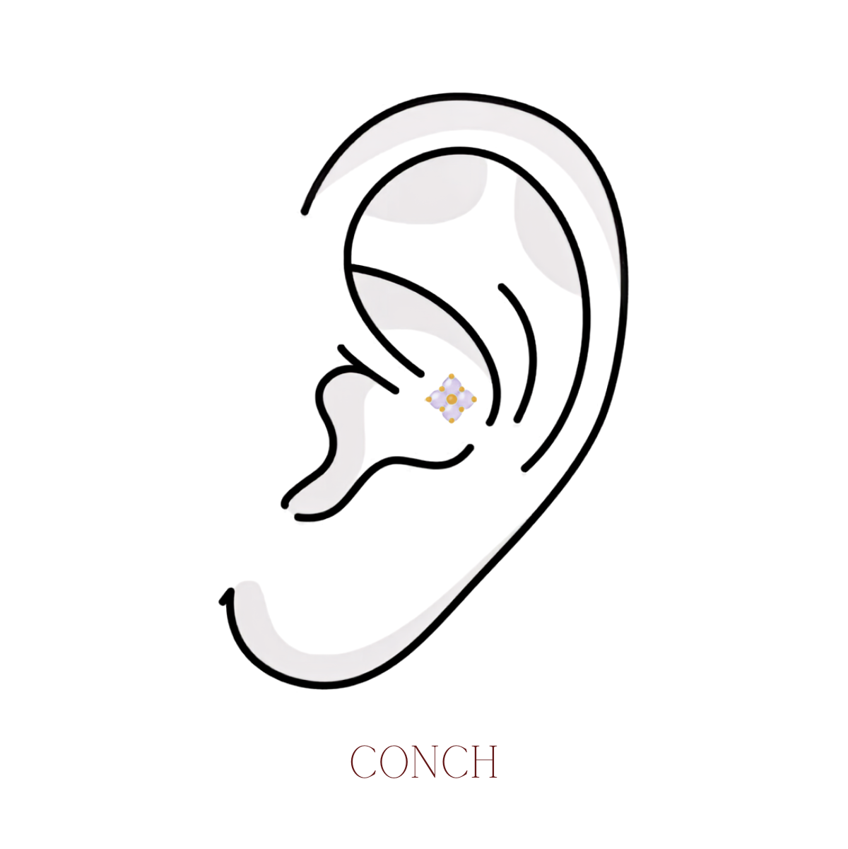 CONCH