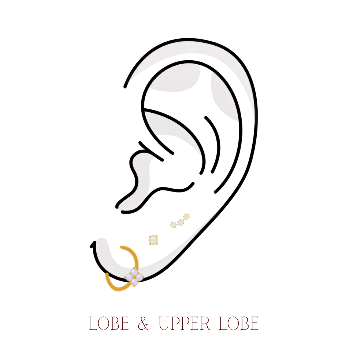 LOBE