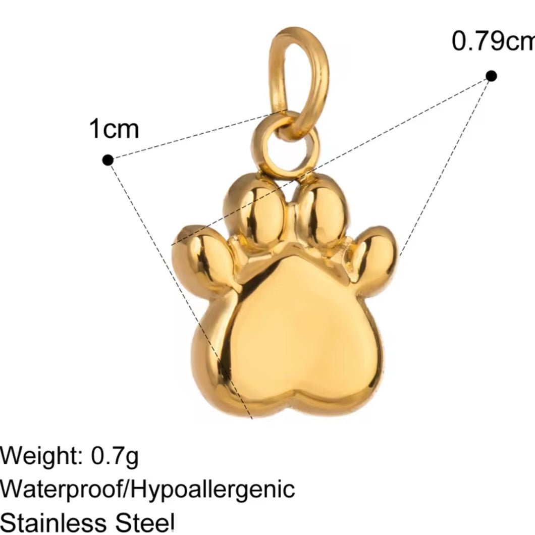 PAW CHARM