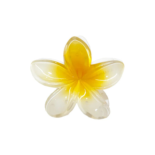 YELLOW HAWAI CLAW