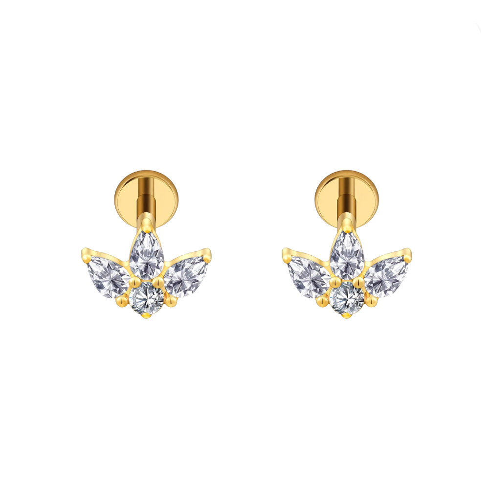NAVIER STUDS