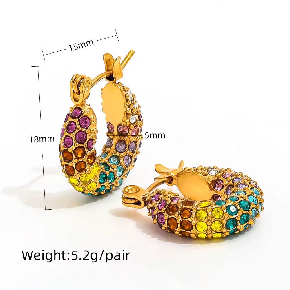 AVOR EARRINGS ( MULTI)