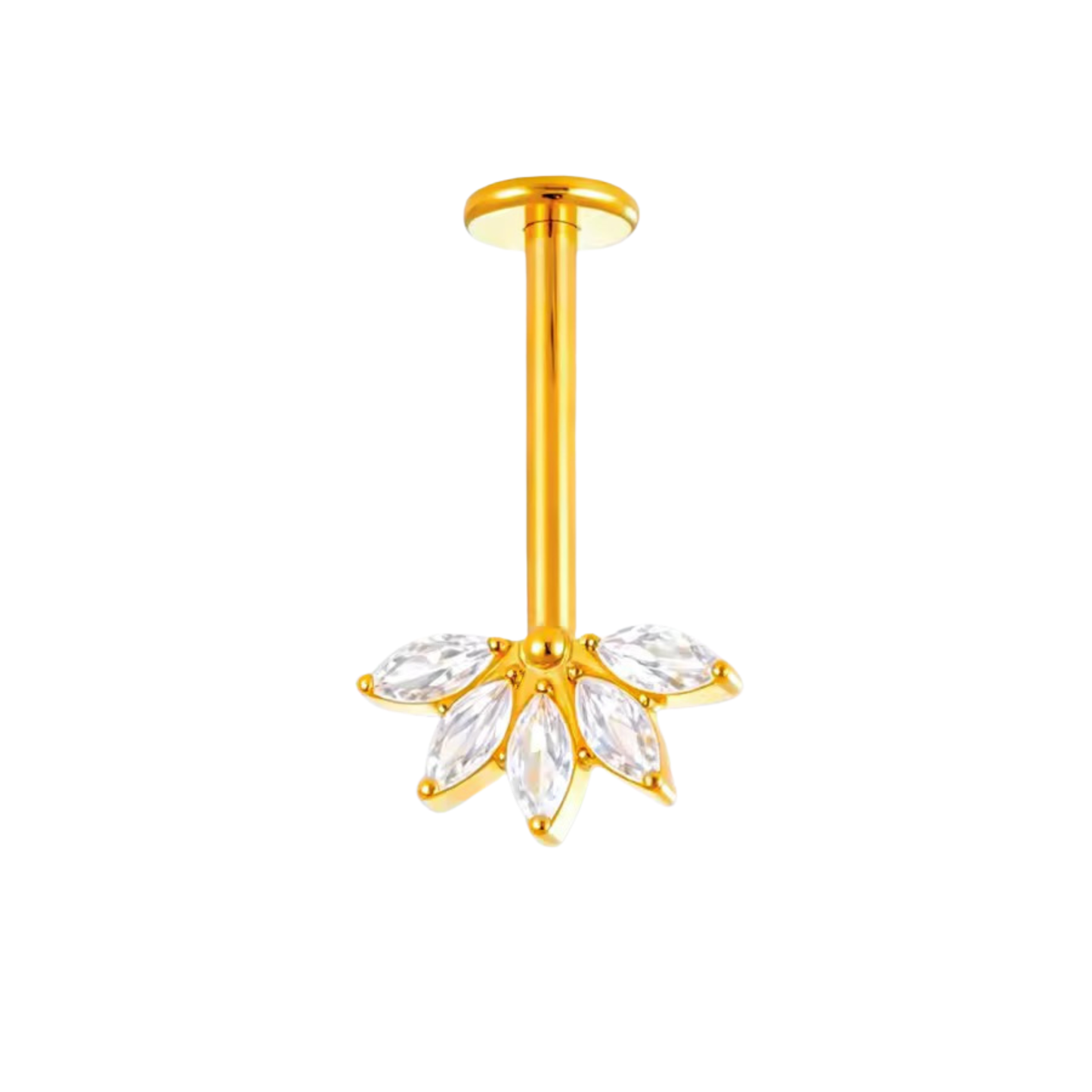 MARQUISE BUGADI STUD ( SINGLE)