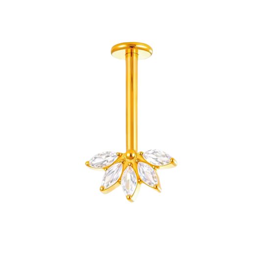 MARQUISE BUGADI STUD ( SINGLE)