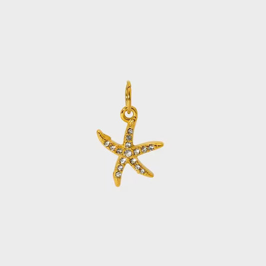 STARFISH CHARM