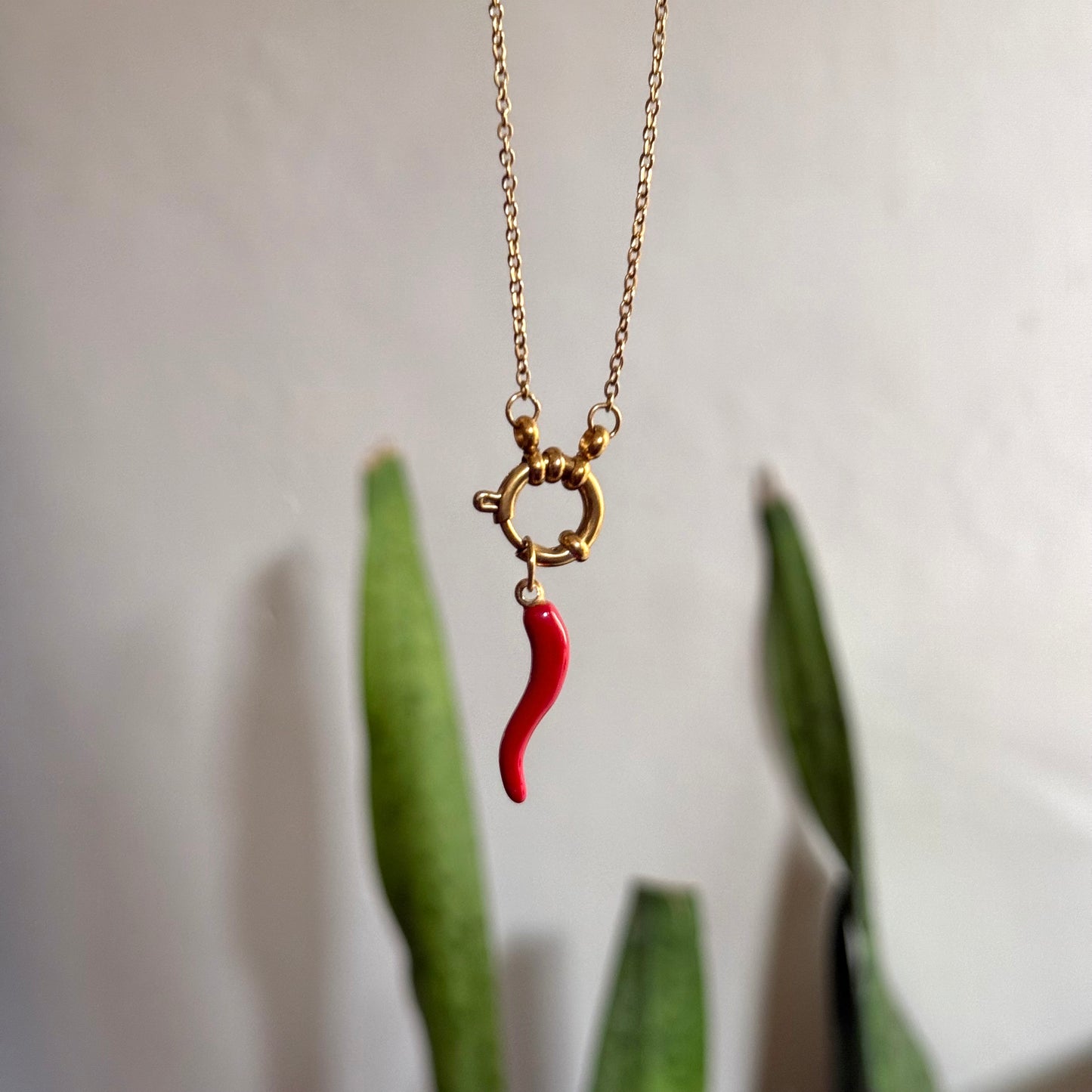 CHILLI CHARM